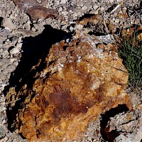 Oxidized surface mineralization